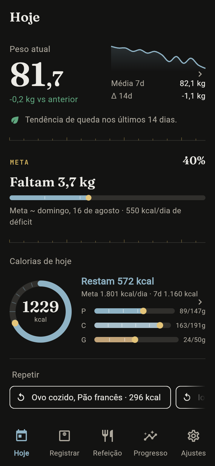 Tela Hoje no tema escuro